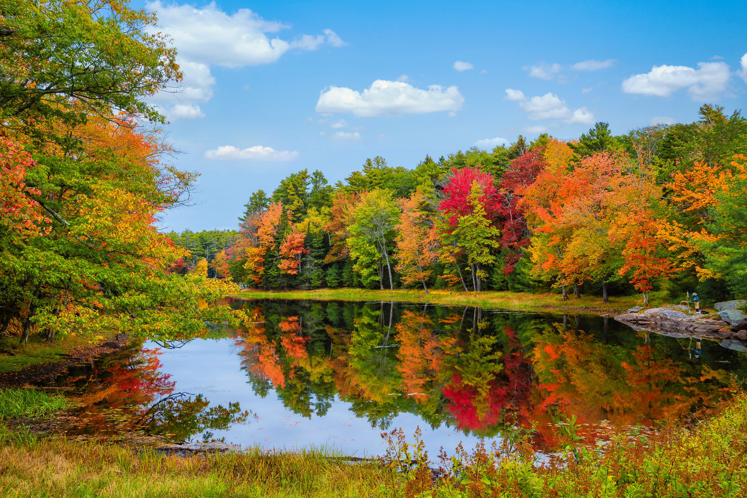 Hello, Autumn! Things to Do in CT in the Fall for the Whole Family